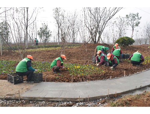 四川省城市绿化管理